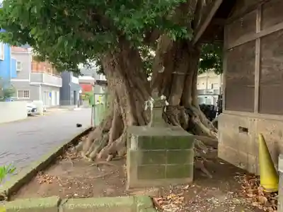 白旗神社(千葉県)