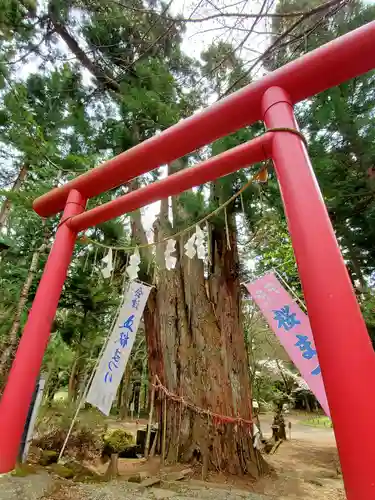 磐椅神社(福島県)
