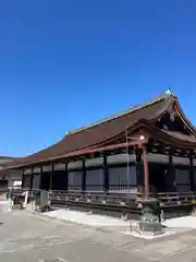 東寺（教王護国寺）(京都府)