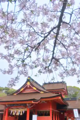 富士山本宮浅間大社(静岡県)