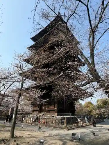 東寺（教王護国寺）の{uncategorized: "未分類", other: "その他", undefined: "問題あり", building: "その他建物", grave: "お墓", sacred_gate: "鳥居", guardian: "狛犬", statue: "像", buddha: "仏像", history: "歴史", nature: "自然", garden: "庭園", animal: "動物", pagoda: "塔", temizu: "手水舎", mountain_gate: "山門・神門", sanctuary: "本殿・本堂", subordinate: "末社・摂社", art: "芸術", scenery: "景色", jizo: "地蔵", ema: "絵馬", goshuin: "御朱印", omikuji: "おみくじ", items: "授与品その他", amulet: "お守り", goshuincho: "御朱印帳", eats: "食事", festival: "お祭り", votive_dance: "神楽", shichigosan: "七五三参", wedding: "結婚式", experience: "体験その他", initially: "初詣", around: "周辺", anti_infection: "感染症対策"}