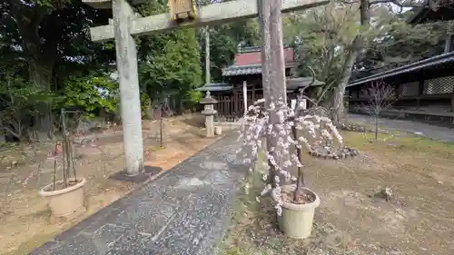 新日吉神宮(京都府)