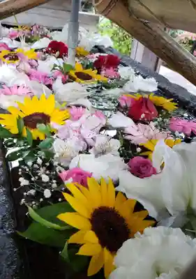 鳩森八幡神社の手水舎