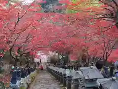 大山寺の自然