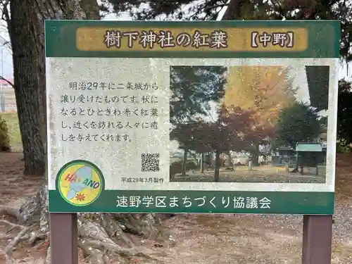 樹下神社（中野）(滋賀県)