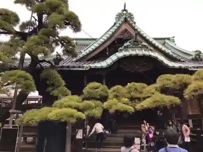 題経寺（柴又帝釈天）の本殿・本堂