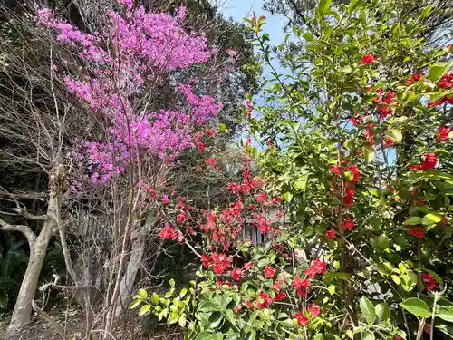種河神社(大阪府)