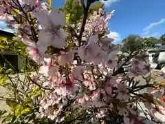 三重縣護國神社(三重県)