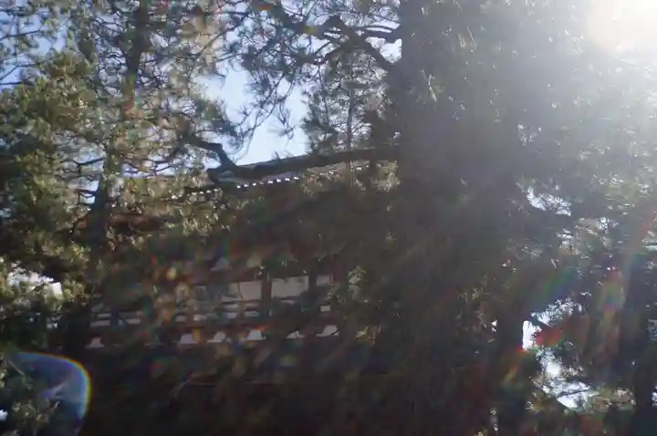 大徳寺(京都府)