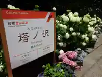 深澤銭洗弁財天の周辺