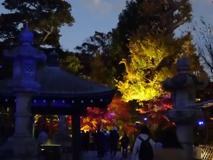 長谷寺(神奈川県)