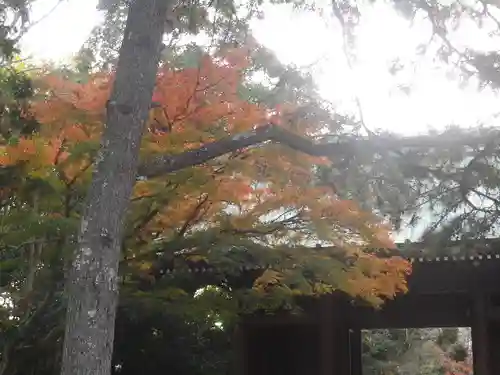 高徳院の山門・神門