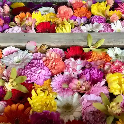 東京大神宮(東京都)