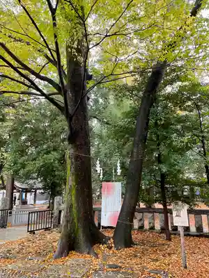 布多天神社(東京都)