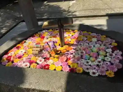 荘内神社の手水舎