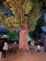 須左男神社(兵庫県)