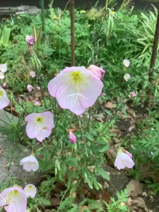 清洲山王宮 日吉神社の自然