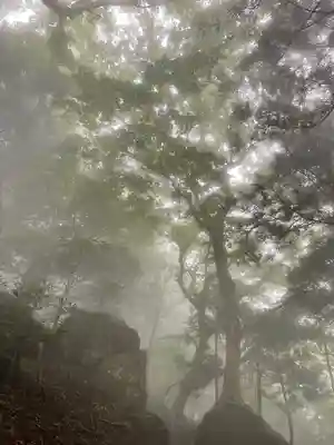 大山阿夫利神社本社の周辺