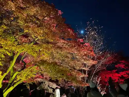 二条天皇　香隆寺陵(京都府)