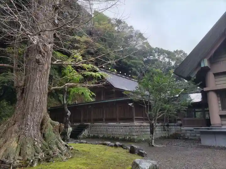 安房神社の本殿・本堂