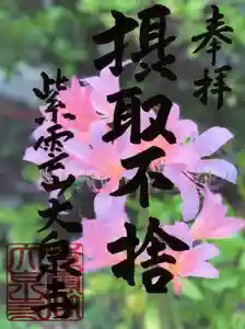 紫雲山 大泉寺(京都府)(2021年08月28日(土) 12時25分32秒投稿)