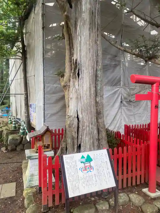 涼ケ岡八幡神社(福島県)