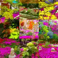 寿量山 速成寺の自然