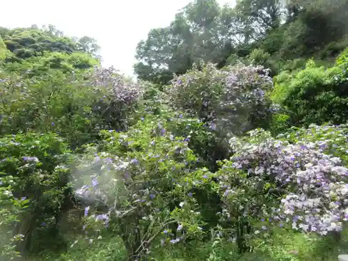 了仙寺(静岡県)