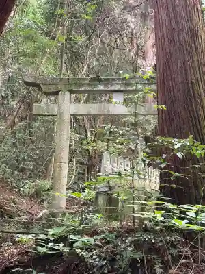 太山寺(愛媛県)