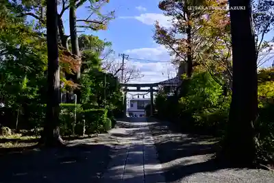 星川杉山神社(神奈川県)