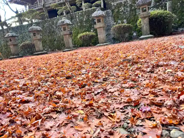 箸蔵寺の建物その他