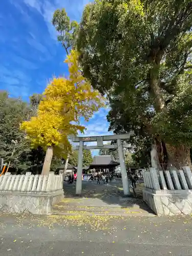 春日神社の鳥居