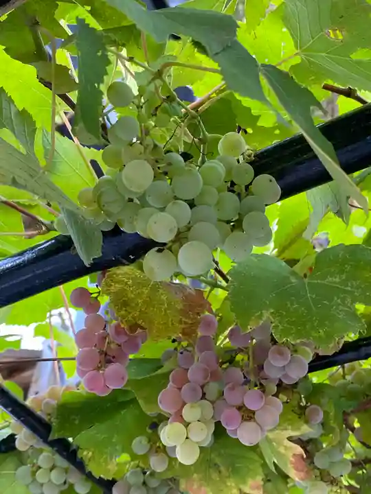 菊名神社(神奈川県)