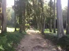 小富士山神社の自然