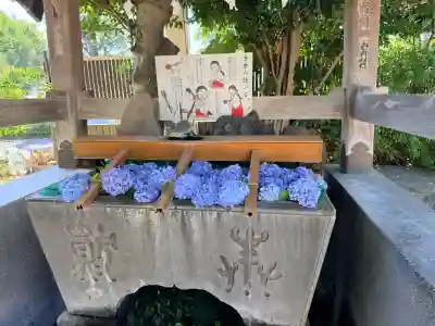 鳩ヶ谷氷川神社の{uncategorized: "未分類", other: "その他", undefined: "問題あり", building: "その他建物", grave: "お墓", sacred_gate: "鳥居", guardian: "狛犬", statue: "像", buddha: "仏像", history: "歴史", nature: "自然", garden: "庭園", animal: "動物", pagoda: "塔", temizu: "手水舎", mountain_gate: "山門・神門", sanctuary: "本殿・本堂", subordinate: "末社・摂社", art: "芸術", scenery: "景色", jizo: "地蔵", ema: "絵馬", goshuin: "御朱印", omikuji: "おみくじ", items: "授与品その他", amulet: "お守り", goshuincho: "御朱印帳", eats: "食事", festival: "お祭り", votive_dance: "神楽", shichigosan: "七五三参", wedding: "結婚式", experience: "体験その他", initially: "初詣", around: "周辺", anti_infection: "感染症対策"}