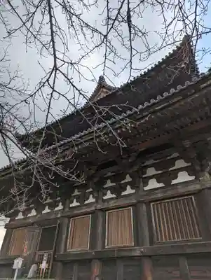 東寺（教王護国寺）(京都府)