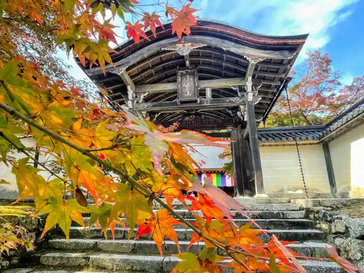 二尊院の山門・神門