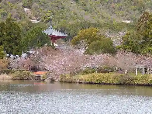 大覚寺(京都府)