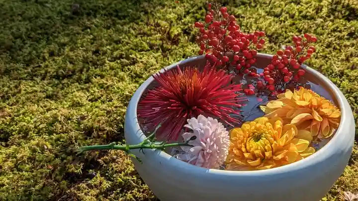 勝林寺の手水舎