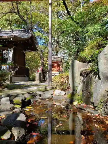 熊野神社(東京都)