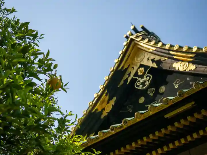 上野東照宮(東京都)