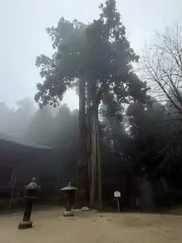 延暦寺釈迦堂(滋賀県)