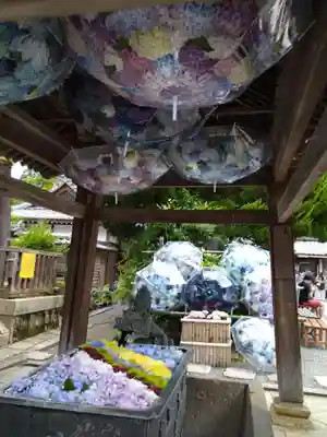 柳谷観音　楊谷寺(京都府)