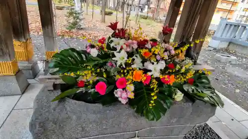 彌彦神社　(伊夜日子神社)の手水