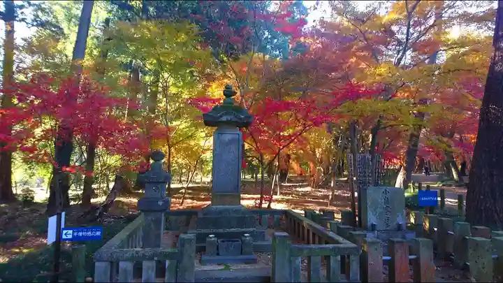 平林寺(埼玉県)