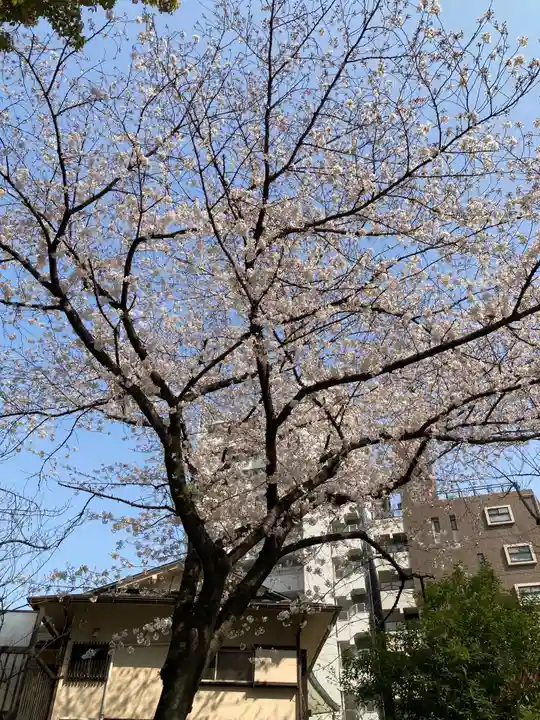蒲田八幡神社の自然