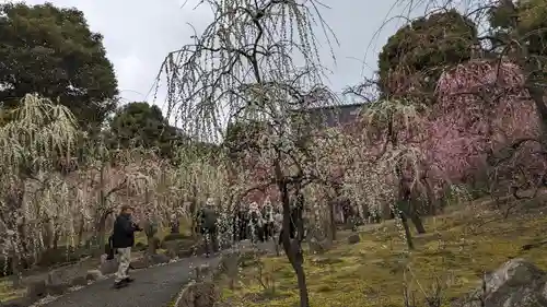 城南宮(京都府)