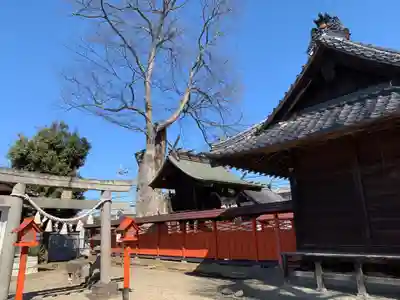 橘神社(埼玉県)