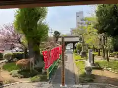 観音寺の建物その他