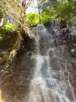 河口浅間神社の自然